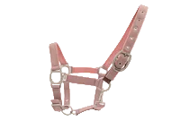Best Selling